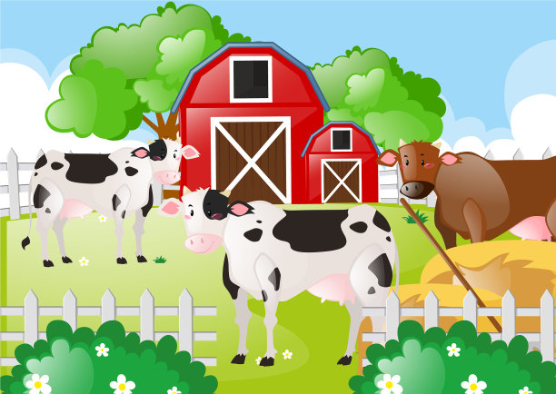 奶牛在农场的田野里图片下载