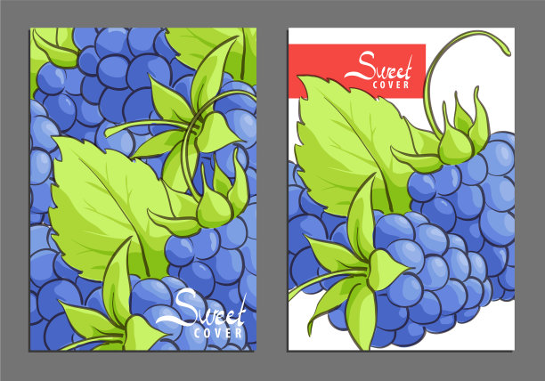 新鲜浆果封面图片下载