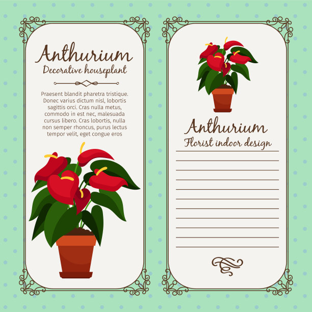 古董标签与红掌植物图片下载