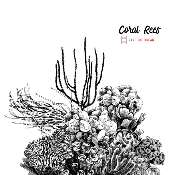 手绘珊瑚礁图片下载