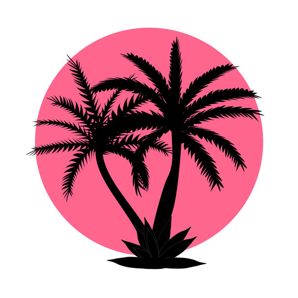 美丽的黑白棕榈树叶子图片下载