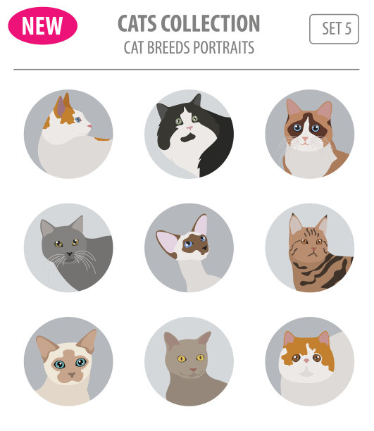 猫品种图标扁平风格白色背景图片下载
