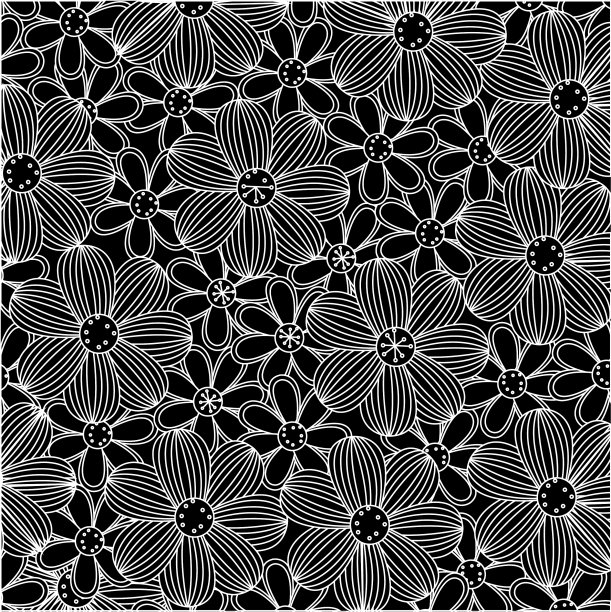 黑色背景与白色轮廓花集图片下载