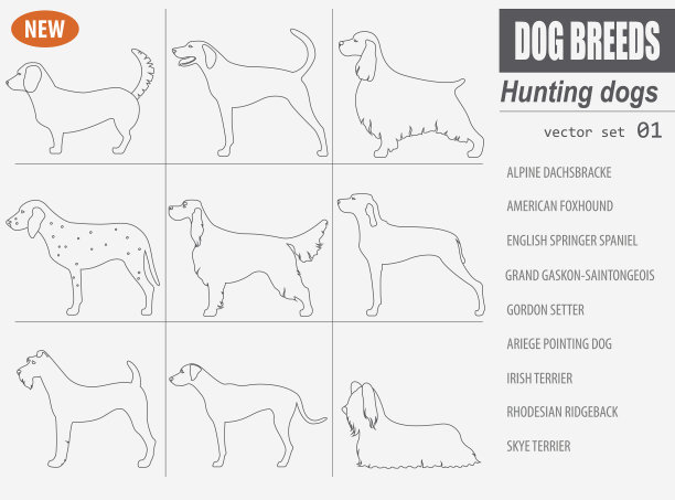 猎犬品种图标，白色背景图片下载