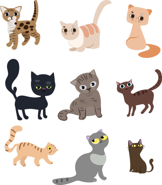一组可爱有趣的猫图片下载