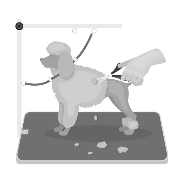 理发宠物在时尚沙龙宠物狗照顾图片下载