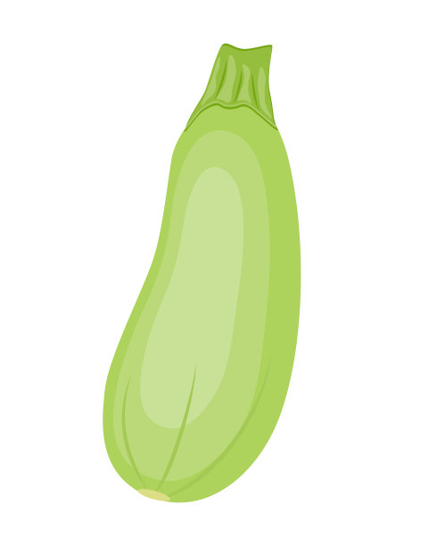 彩色西葫芦孤立上图片下载