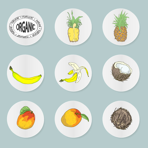 热带水果图标图片下载