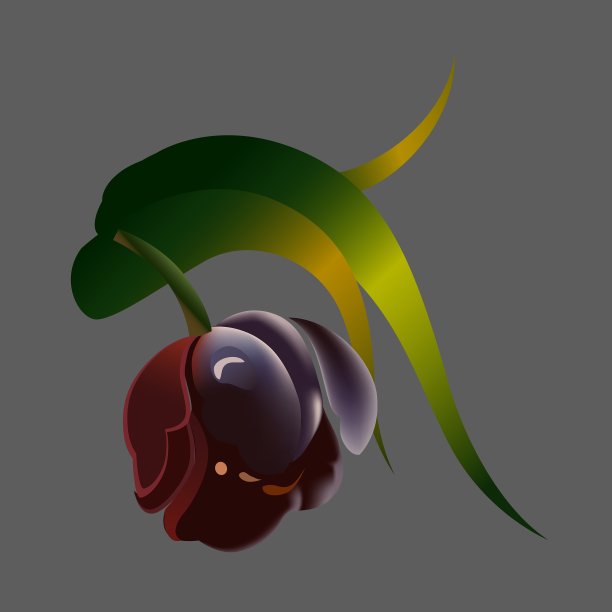 花元素的黑色背景图片下载