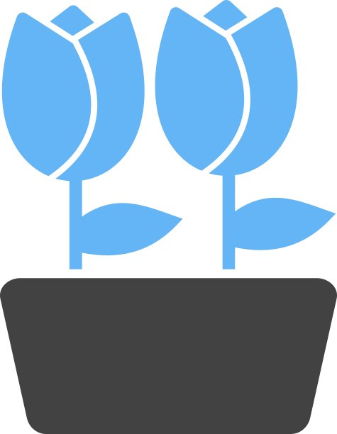 郁金香在锅图片下载