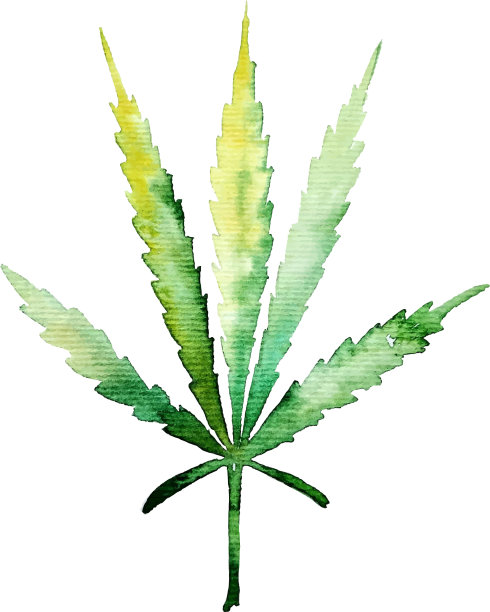 绿色的大麻叶子用于你的设计项目图片下载