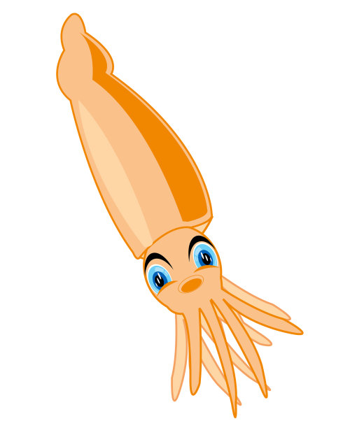 幼儿卡通海洋动物鱿鱼上白色图片下载