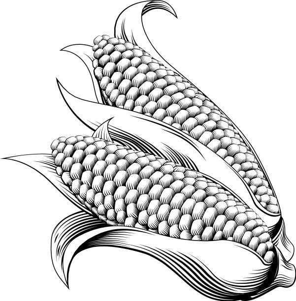 复古木刻甜玉米图片下载