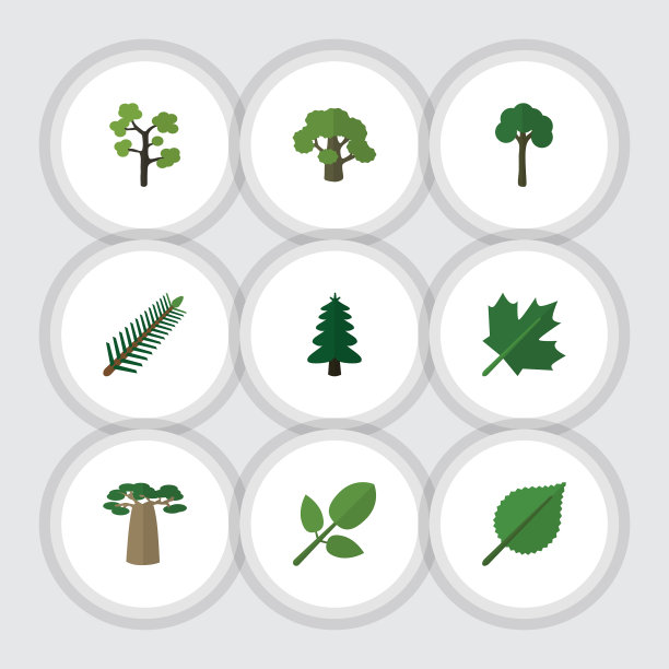 平坦的图标生物设置的椴树公园常绿和图片下载