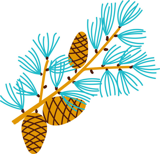 带有球果的松树的圣诞枝图片下载