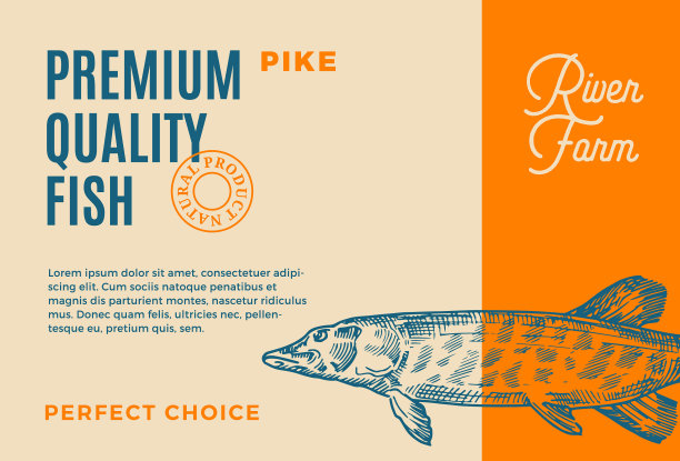 优质梭鱼摘要鱼图片下载