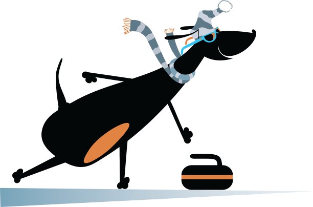 狗玩冰壶图片下载