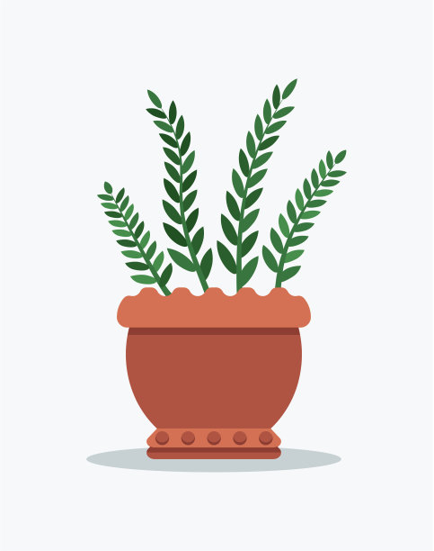 迷迭香种植在花盆中图片下载