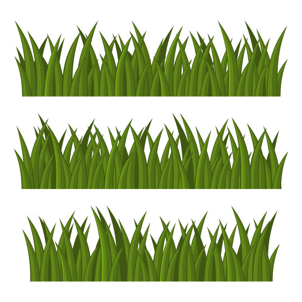 绿草边框设置在白色背景上图片下载