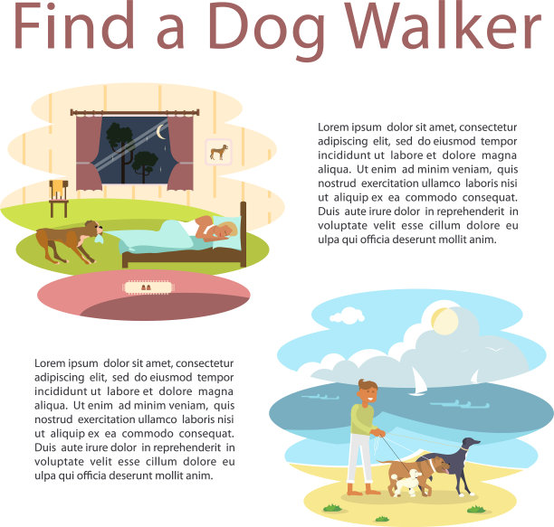 宠物和主人图片下载