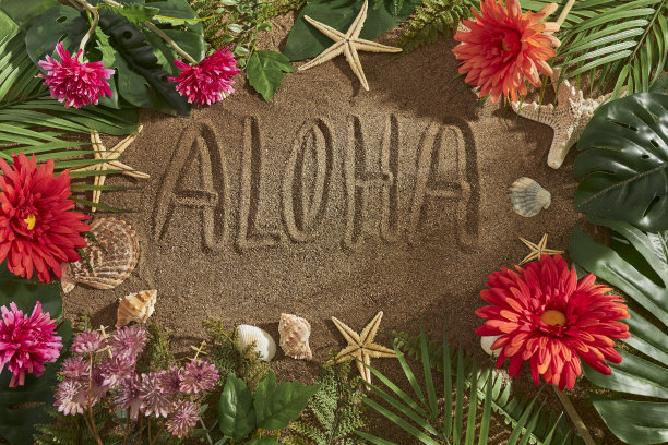 暑假的背景图片下载