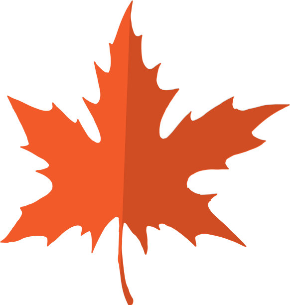 红色和橙色的枫叶孤立在一个白色图片下载