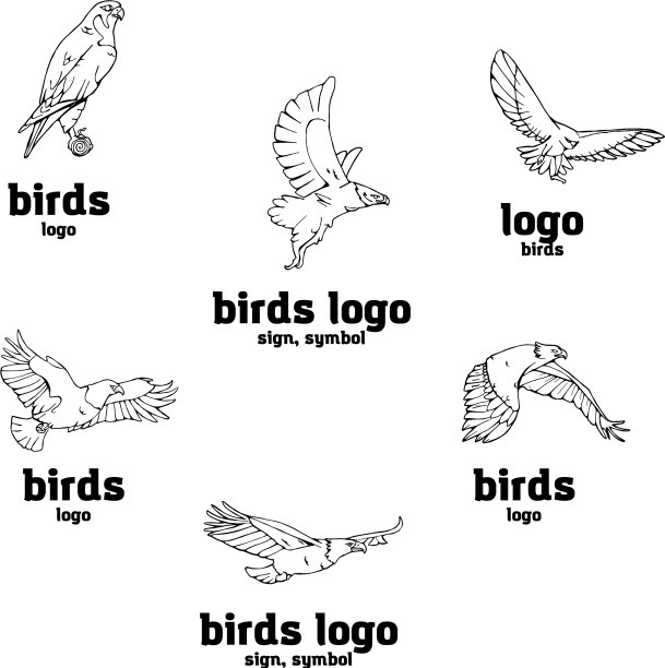 手绘铅笔图形鸟类的猎物集图片下载