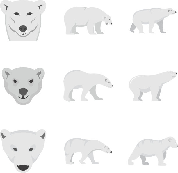 北极熊宝宝白色图标设置扁平风格图片下载