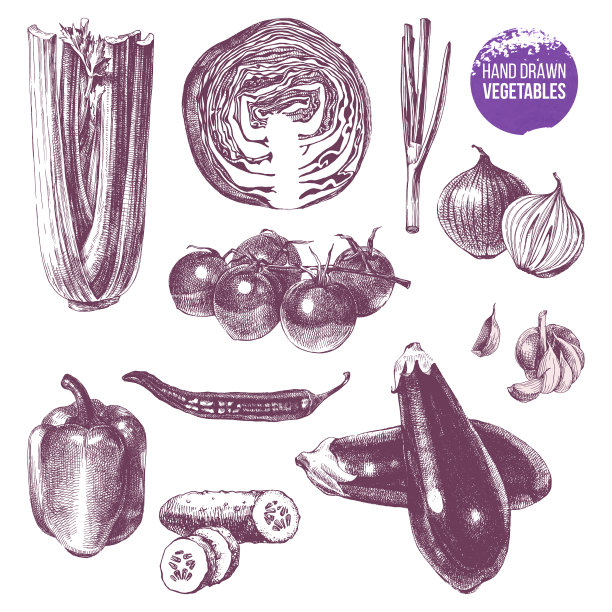 手绘蔬菜套装图片下载
