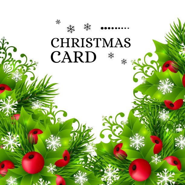 克里斯特马斯冬青线程横幅 12图片下载