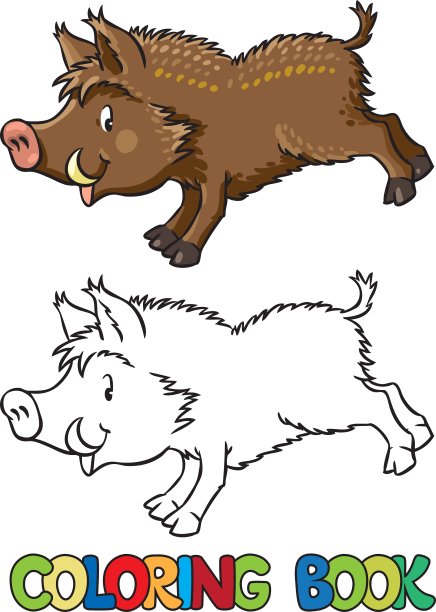 小有趣的野猪或野猪涂色书图片下载