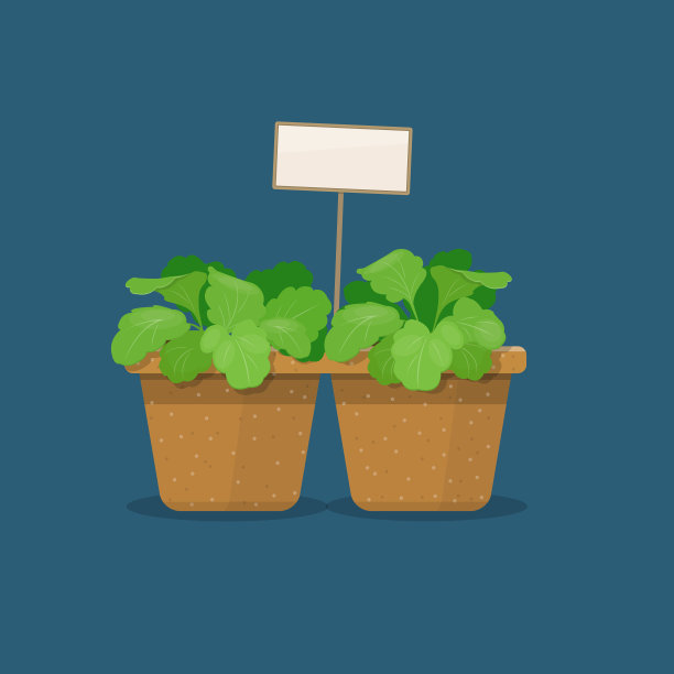 幼苗在泥炭花盆图片下载