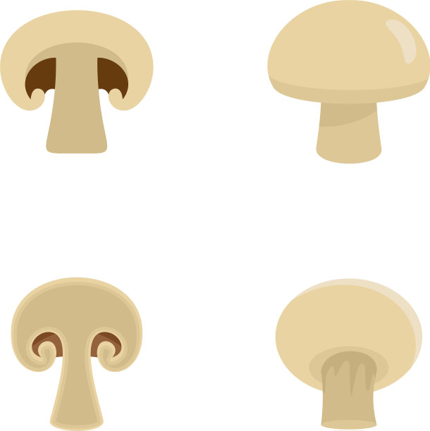 香槟蘑菇图标设置扁平风格图片下载