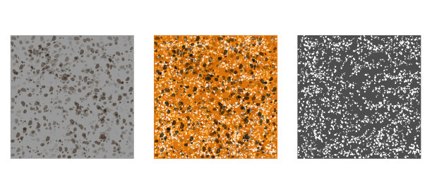 纹理石花纹套图片下载