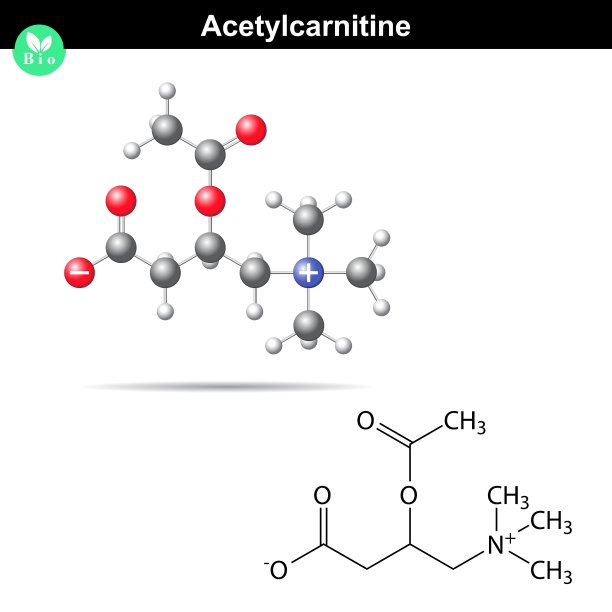 Acetylcarnitine公式图片下载