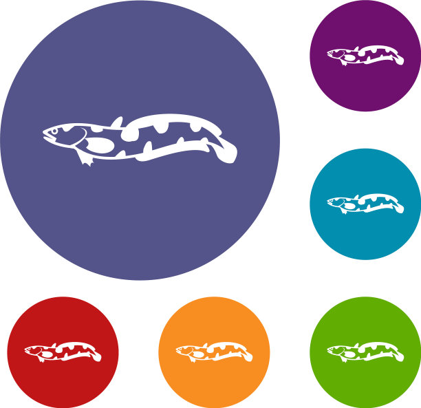 Anarhichas鱼的图标设置图片下载