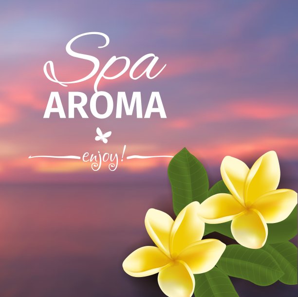 水疗概念与模糊的海边背景和图片下载