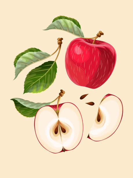 一组苹果果实和树叶图片下载