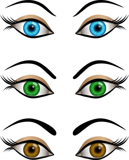 一套卡通女性眼睛蓝棕色和绿色图片下载