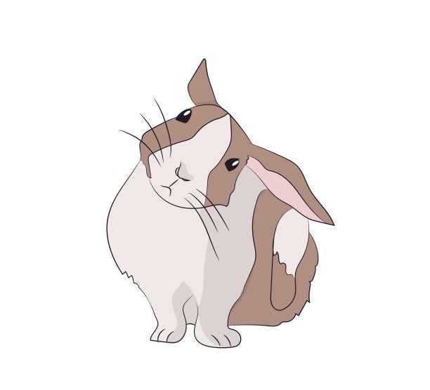 兔子坐在图片下载