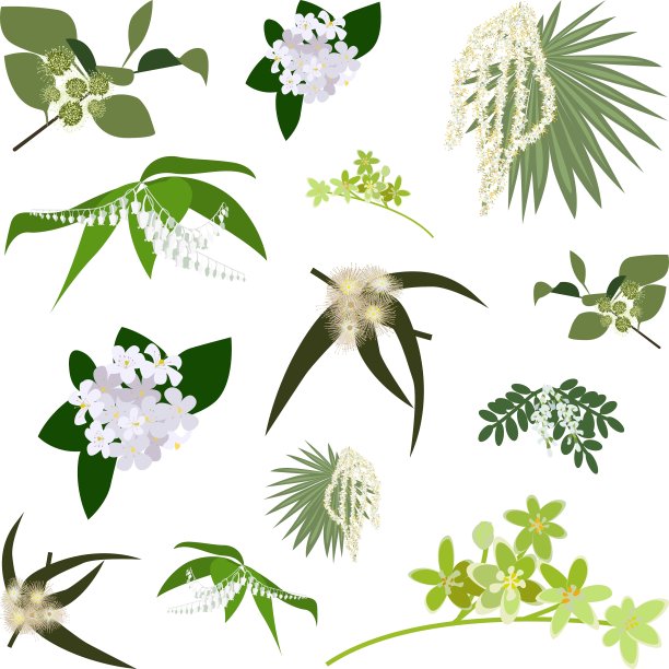 一套画野花图片下载