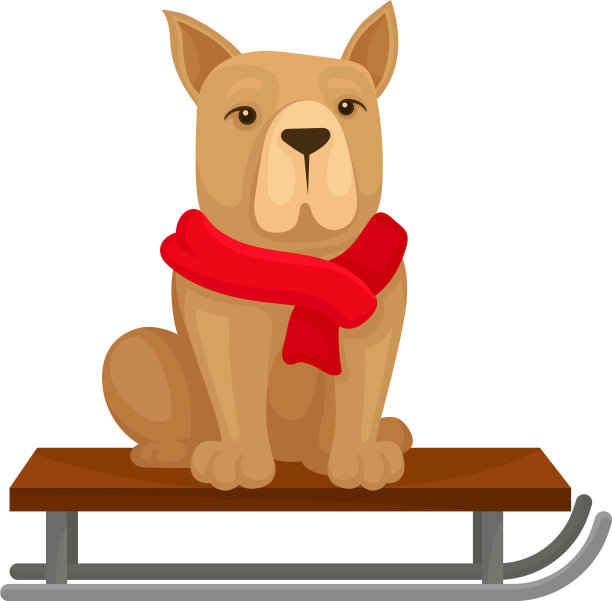 狗在红色温暖的围巾坐在雪橇上的家宠物图片下载