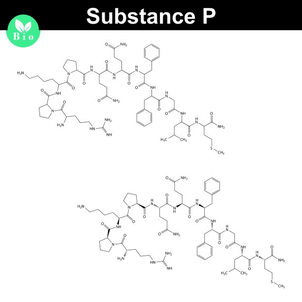 P物质分子结构图片下载