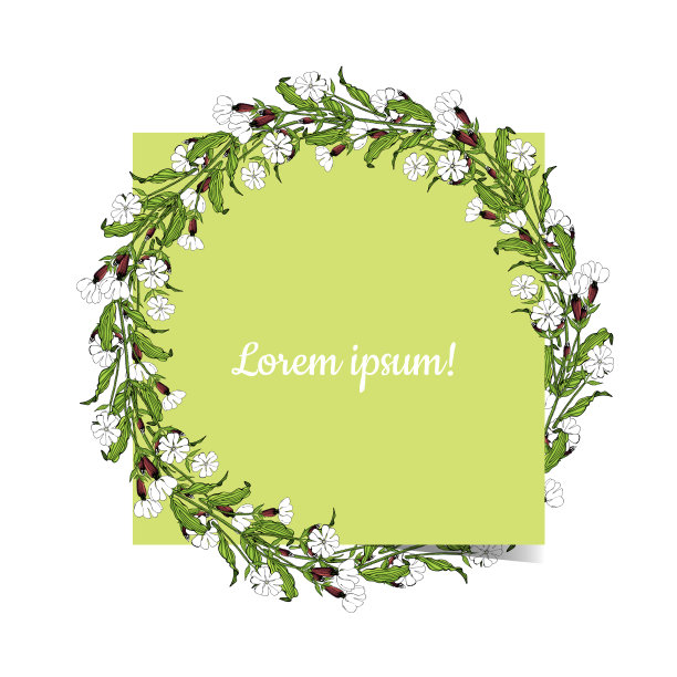 白色的剪秋萝花，白色的花环图片下载