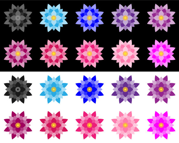 一组荷花表演了一个填充图片下载