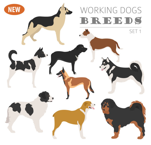 工作犬品种图标合集图片下载