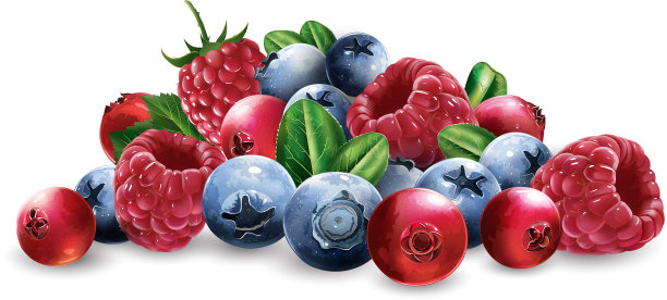 树莓，蔓越莓，蓝莓和图片下载