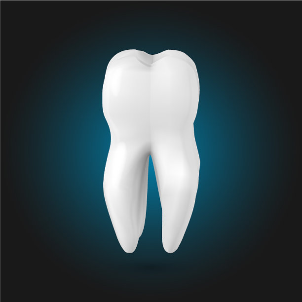 牙齿逼真的3d牙齿模板图片下载