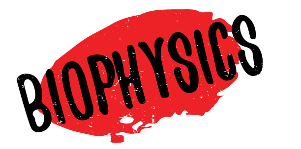 生物物理学橡皮图章图片下载