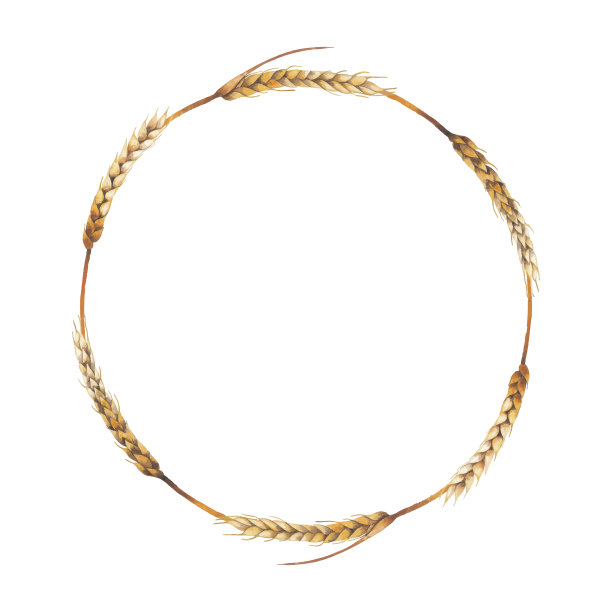 水彩麦芽花环图片下载